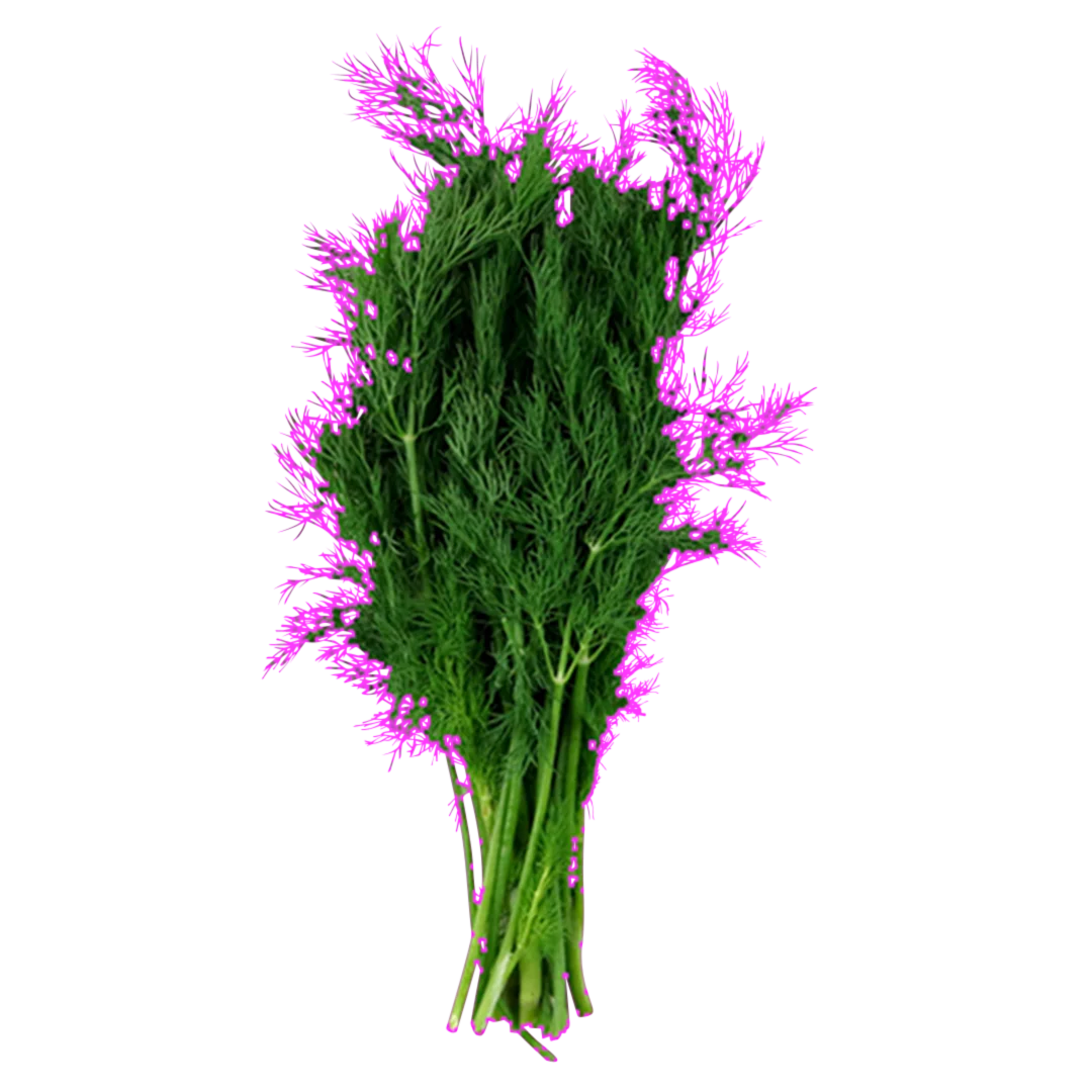 Clipping Path_02